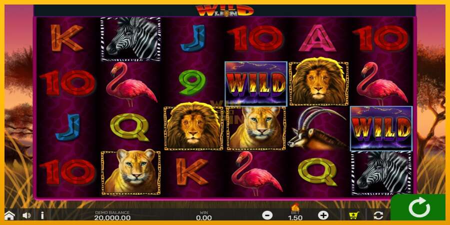 Wild Lion with Reel Bingo dirua lortzeko joko-makina, irudia 1