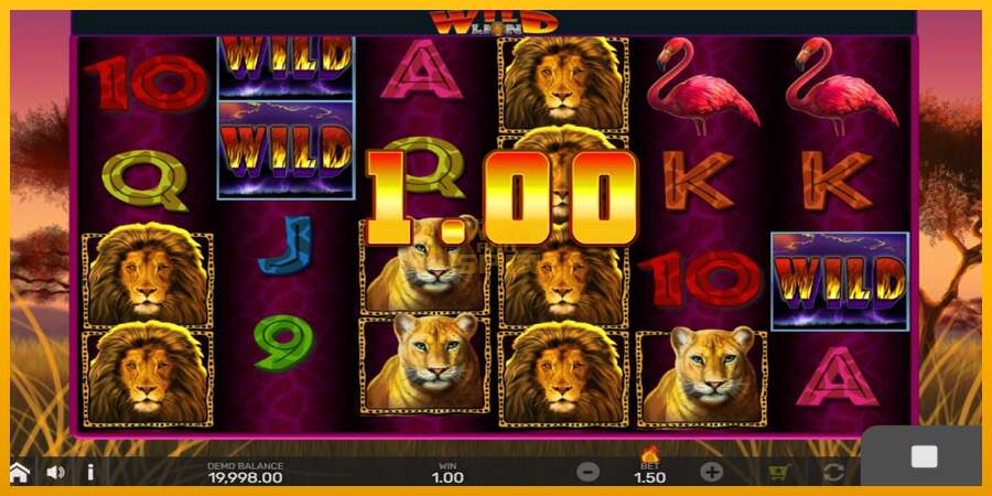 Wild Lion with Reel Bingo dirua lortzeko joko-makina, irudia 2