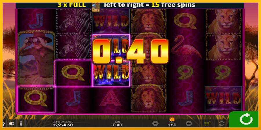 Wild Lion with Reel Bingo dirua lortzeko joko-makina, irudia 3