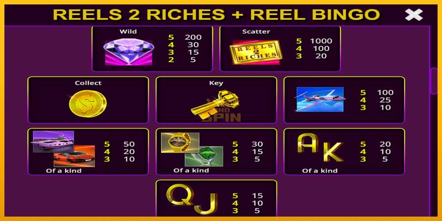 Reels 2 Riches with Reel Bingo dirua lortzeko joko-makina, irudia 6