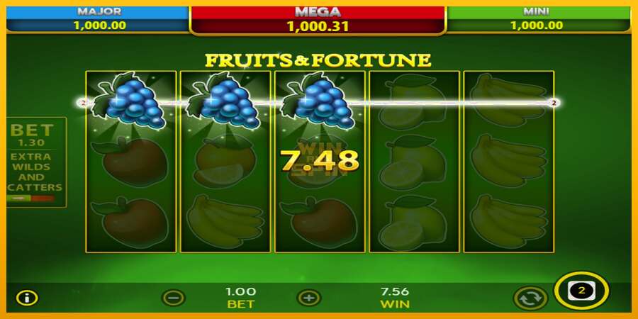 Fruits & Fortune dirua lortzeko joko-makina, irudia 5