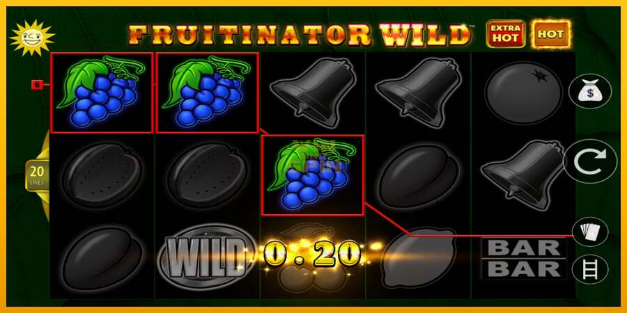 Fruitinator Wild dirua lortzeko joko-makina, irudia 3