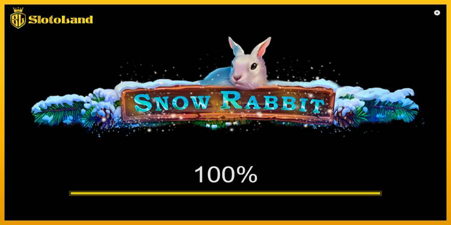 Snow Rabbit dirua lortzeko joko-makina, irudia 1