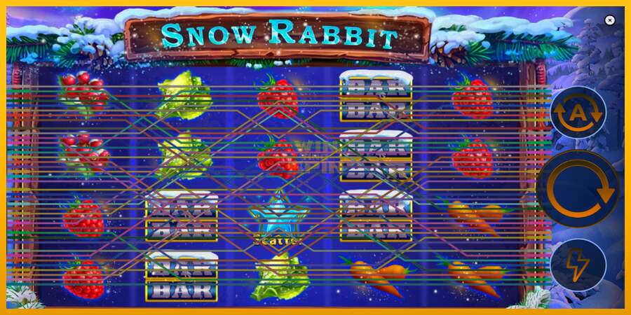 Snow Rabbit dirua lortzeko joko-makina, irudia 2