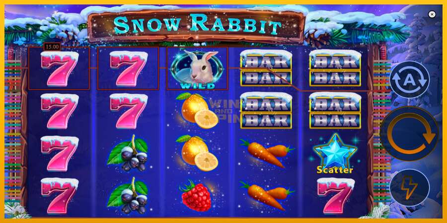 Snow Rabbit dirua lortzeko joko-makina, irudia 3