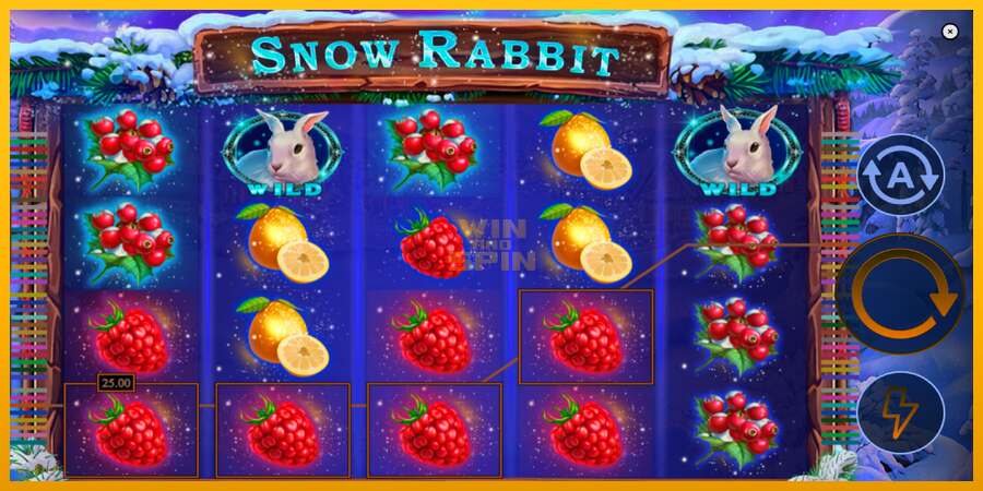 Snow Rabbit dirua lortzeko joko-makina, irudia 4