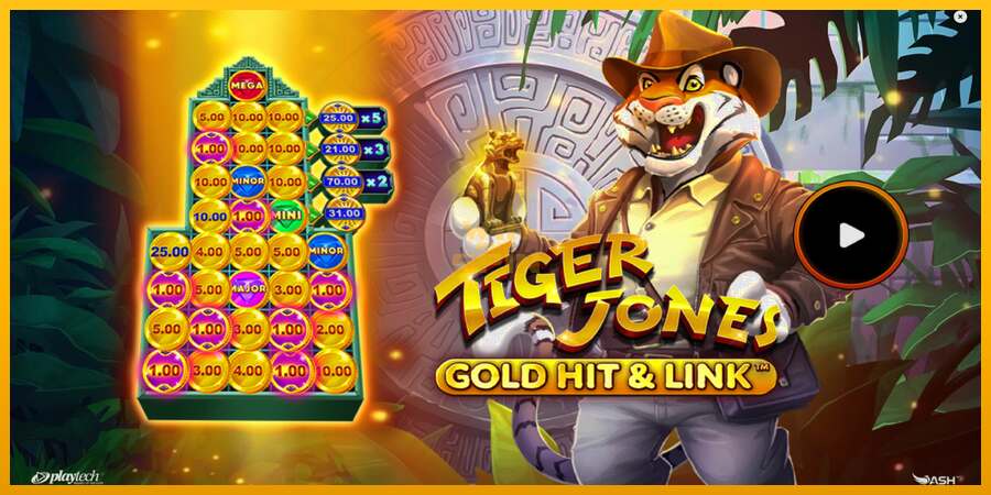 Gold Hit & Link: Tiger Jones dirua lortzeko joko-makina, irudia 1