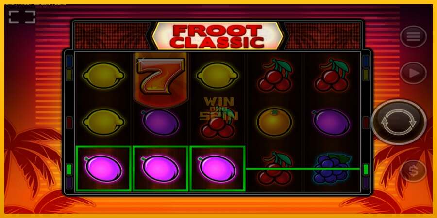 Froot Classic dirua lortzeko joko-makina, irudia 3