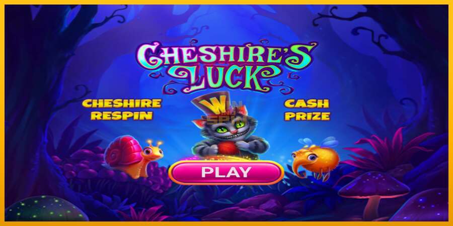 Cheshires Luck dirua lortzeko joko-makina, irudia 1