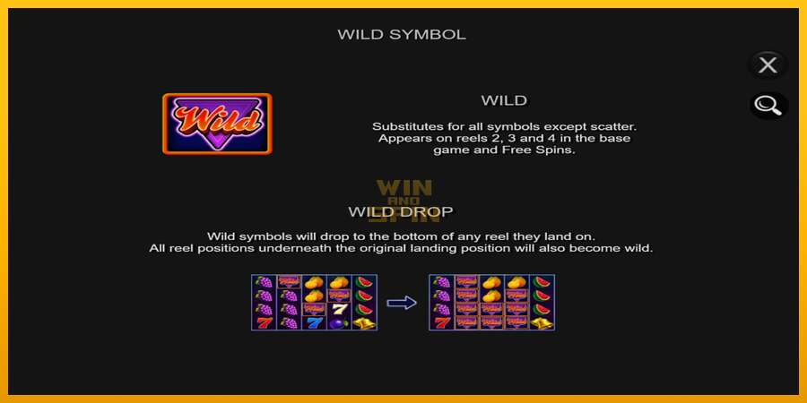 Wild Drop Multiplier dirua lortzeko joko-makina, irudia 6