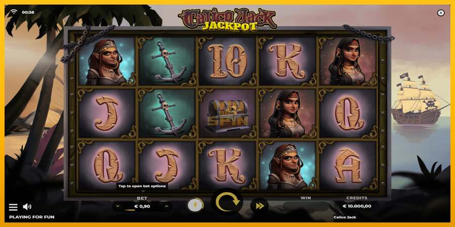 Calico Jack Jackpot dirua lortzeko joko-makina, irudia 1