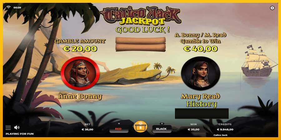 Calico Jack Jackpot dirua lortzeko joko-makina, irudia 3