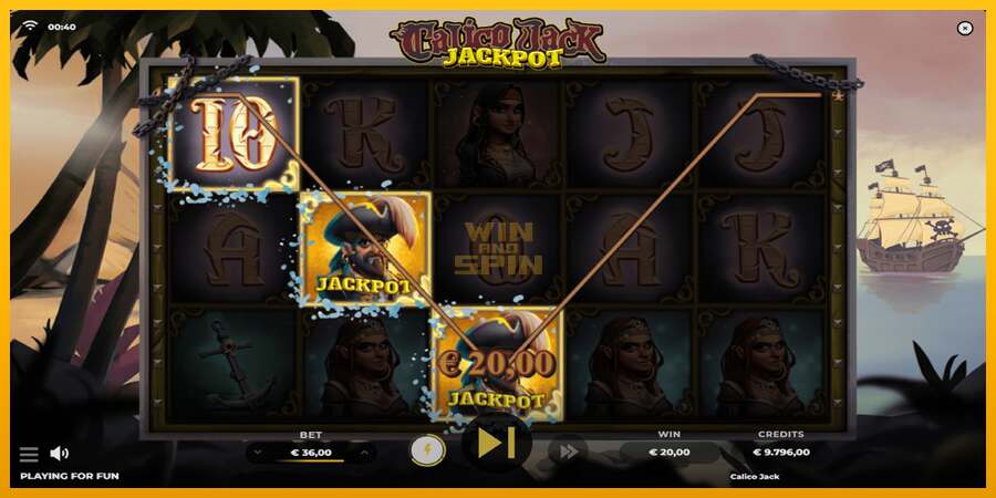 Calico Jack Jackpot dirua lortzeko joko-makina, irudia 4