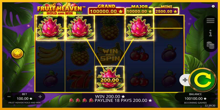 Fruit Heaven Hold and Win dirua lortzeko joko-makina, irudia 3