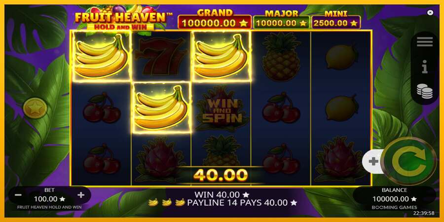 Fruit Heaven Hold and Win dirua lortzeko joko-makina, irudia 4