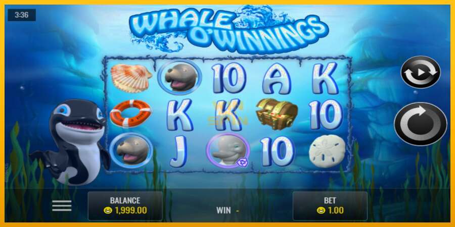 Whale O’Winnings dirua lortzeko joko-makina, irudia 1