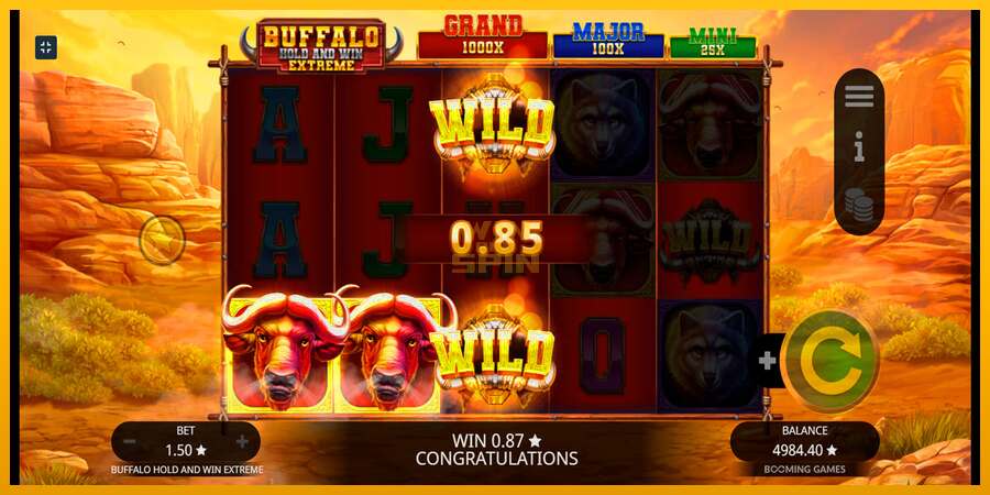 Buffalo Hold and Win Extreme dirua lortzeko joko-makina, irudia 6