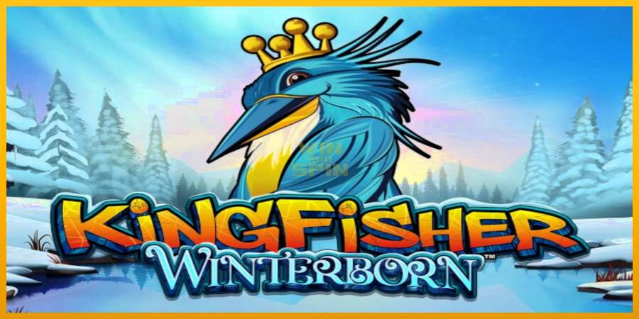 Kingfisher Winterborn dirua lortzeko joko-makina, irudia 1