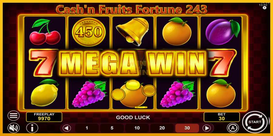 Cashn Fruits Fortune 243 dirua lortzeko joko-makina, irudia 3