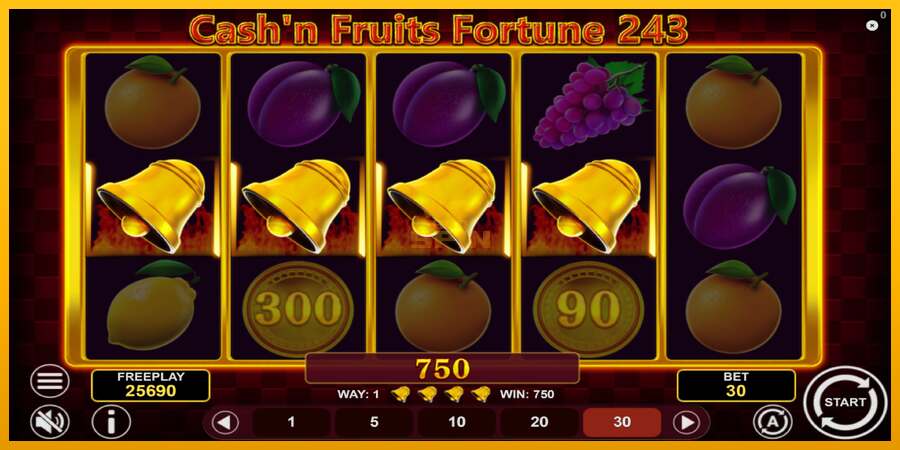 Cashn Fruits Fortune 243 dirua lortzeko joko-makina, irudia 5