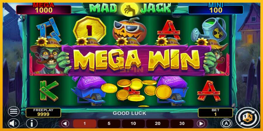 Mad Jack Hold & Win dirua lortzeko joko-makina, irudia 2